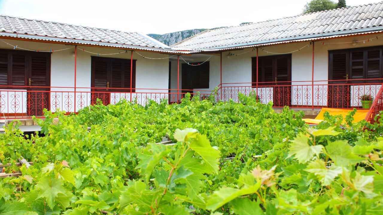 Photo of Outdoor in Grizane