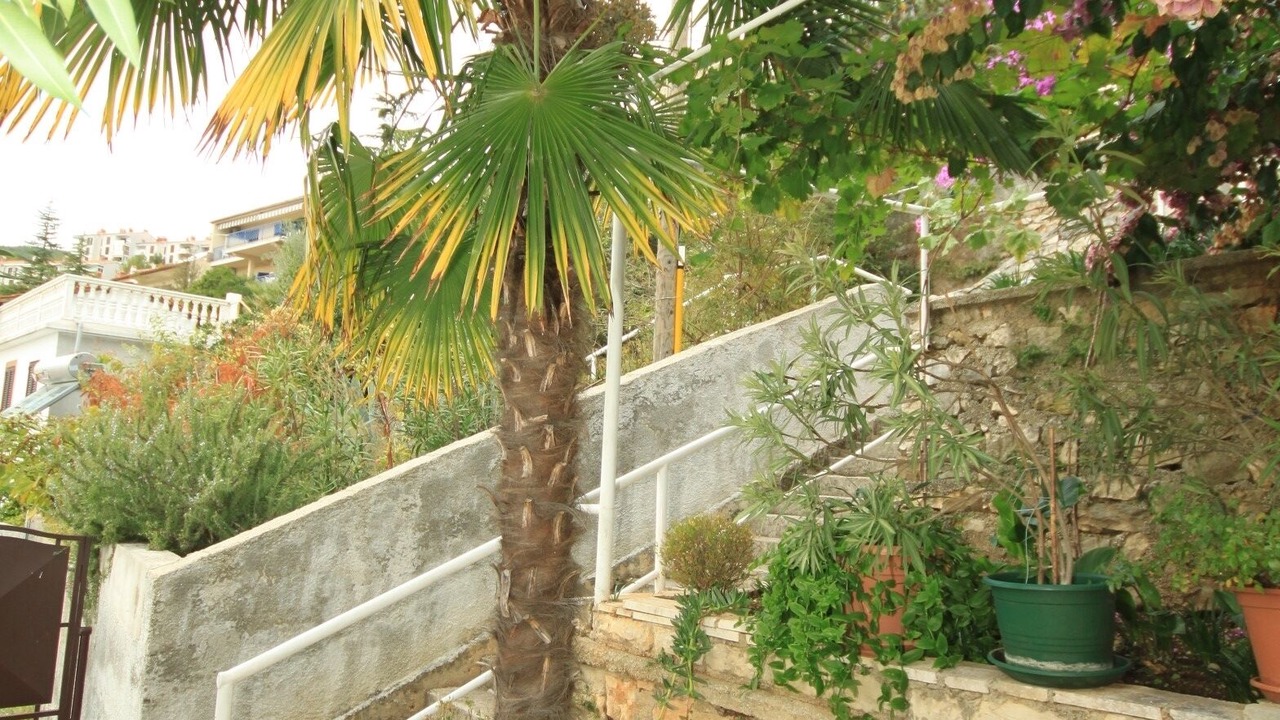 Photo of Outdoor in Rabac