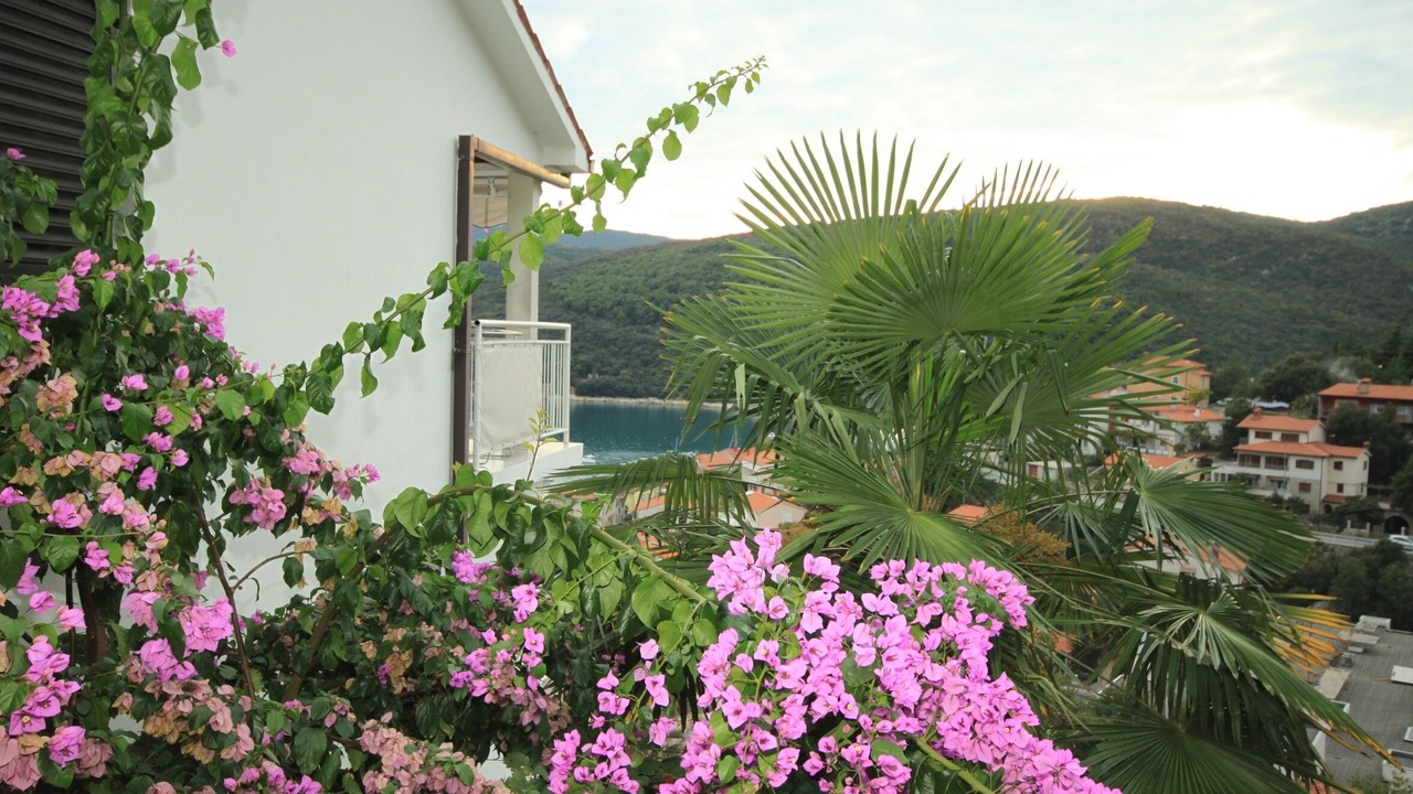 Photo of Outdoor in Rabac