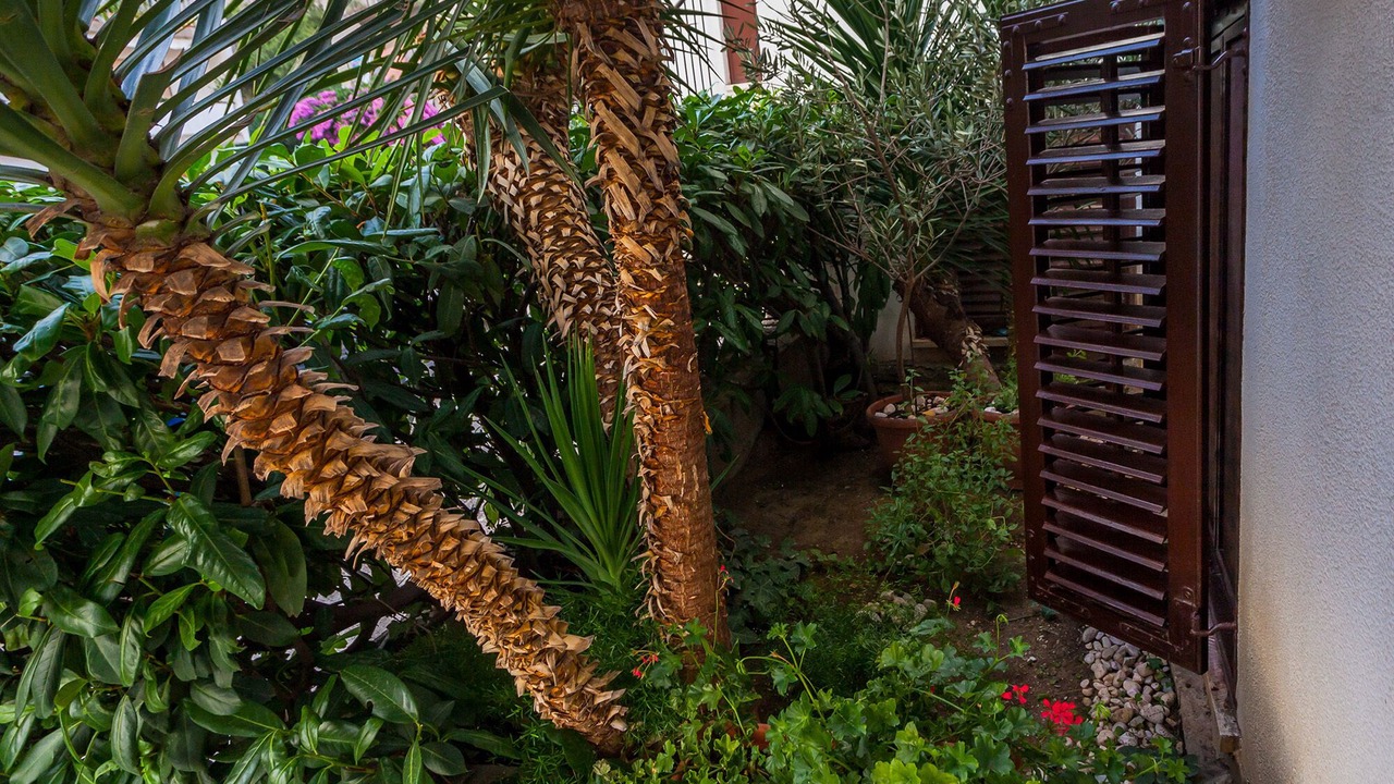 Photo of Outdoor in Split