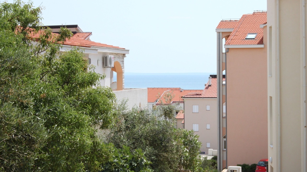 Photo of Others in Novalja