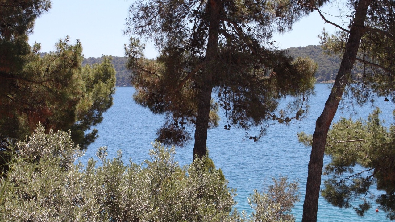 Photo of Others in Cove Murtar