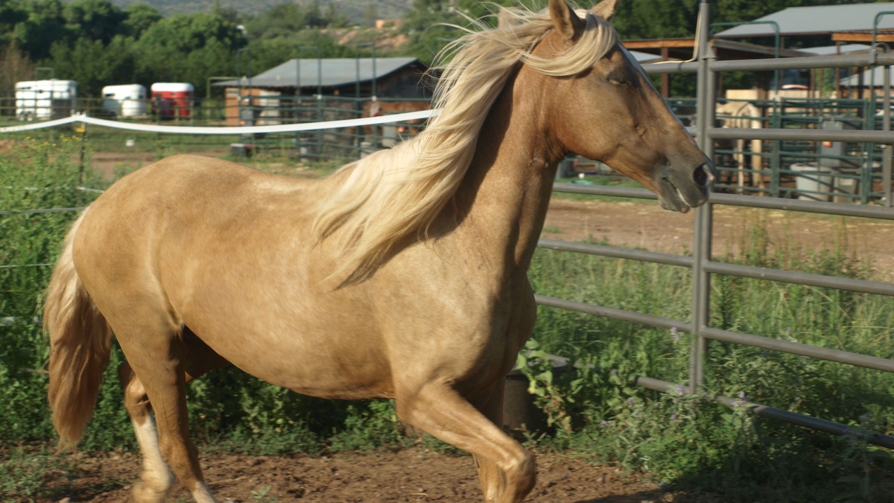 Photo of Others in West Sedona
