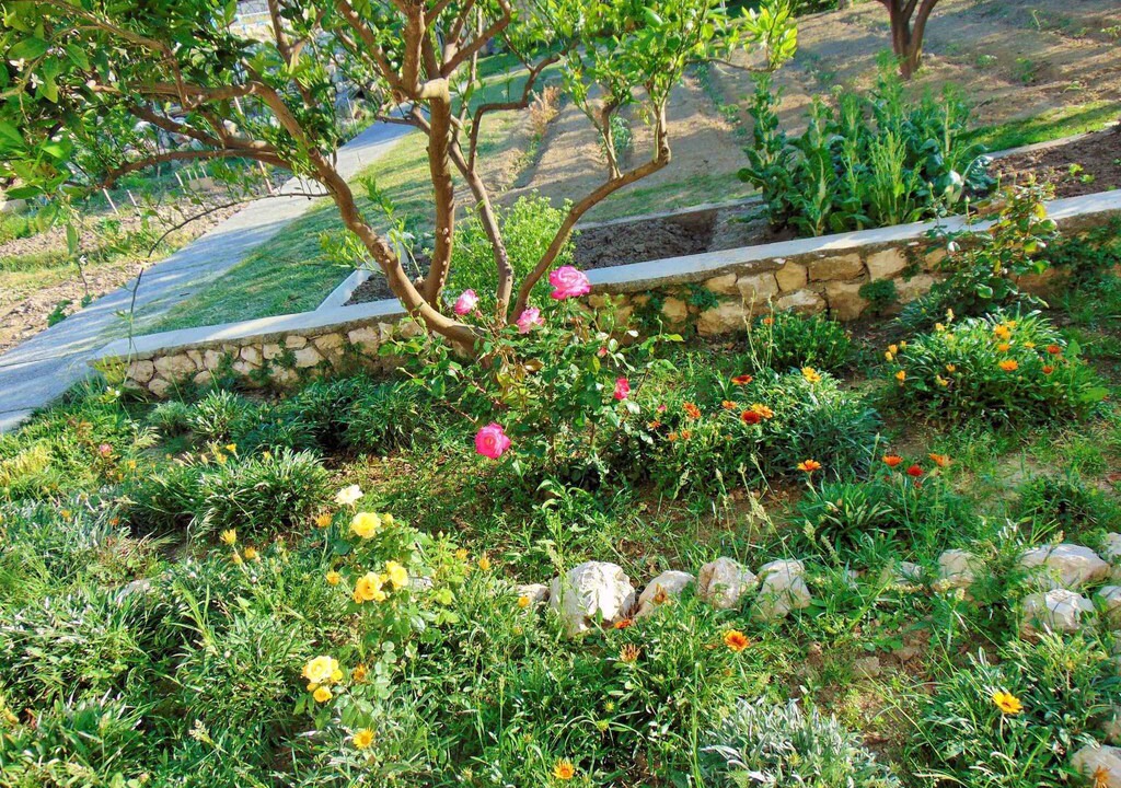Photo of Outdoor in Supetarska Draga