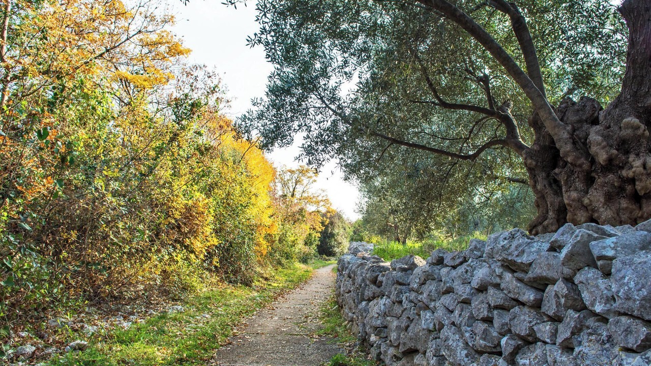 Photo of Outdoor in Ravni