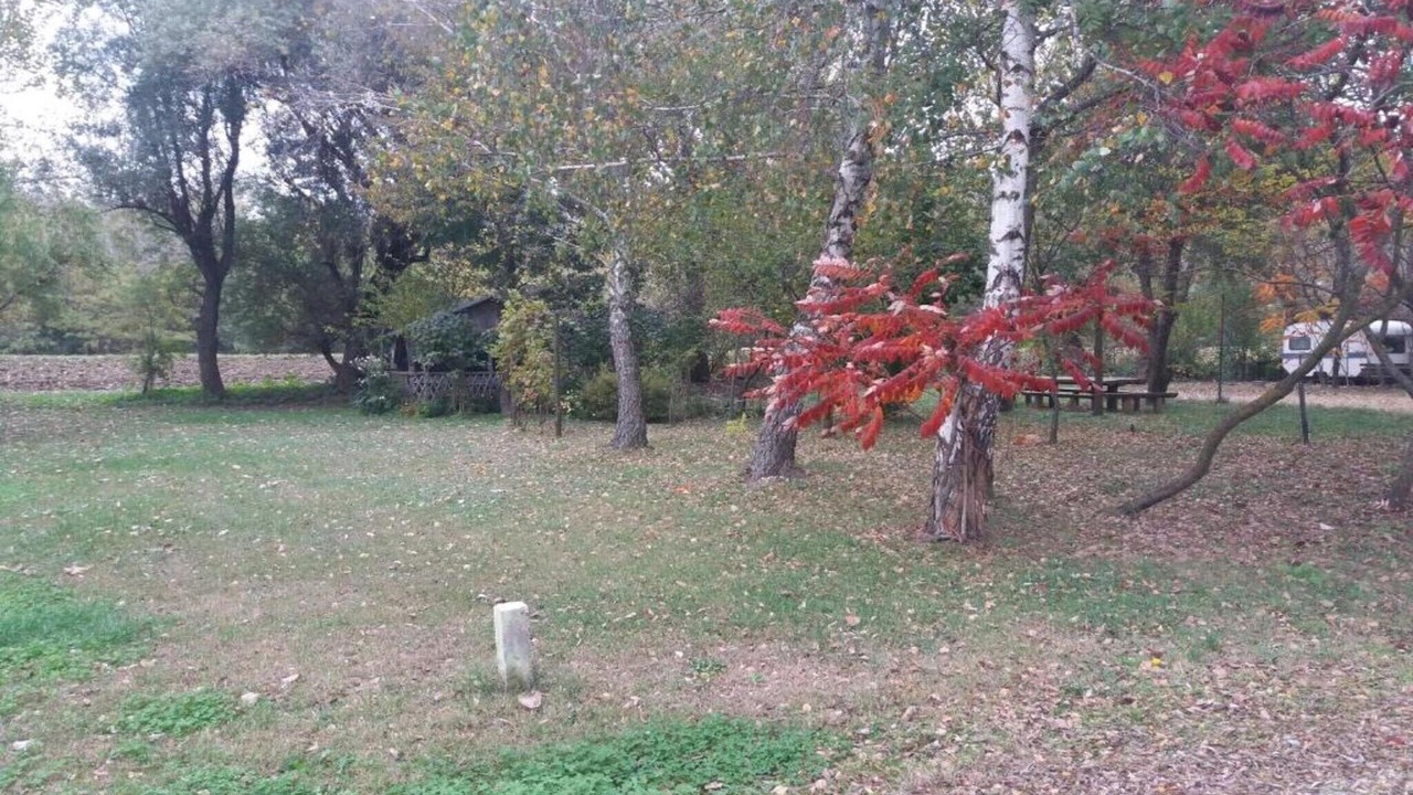 Photo of Others in Bribir