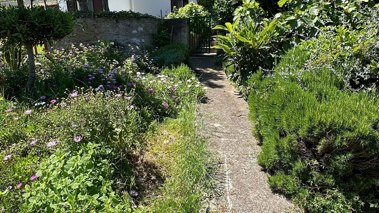 Photo of Outdoor in Cove Murtar