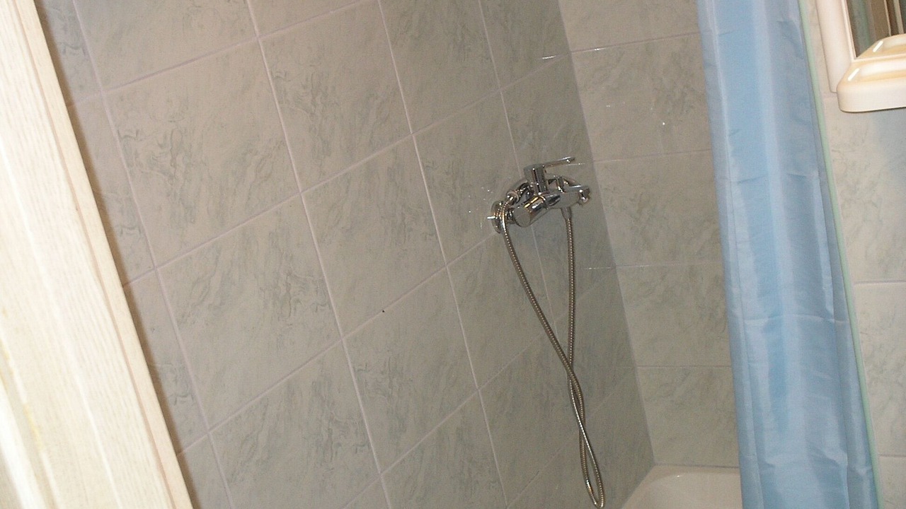 Photo of Bathroom in Metajna