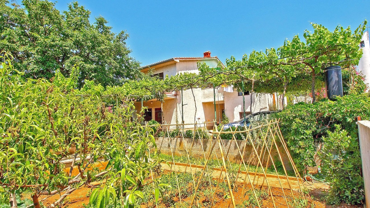 Photo of Outdoor in Pjescana Uvala
