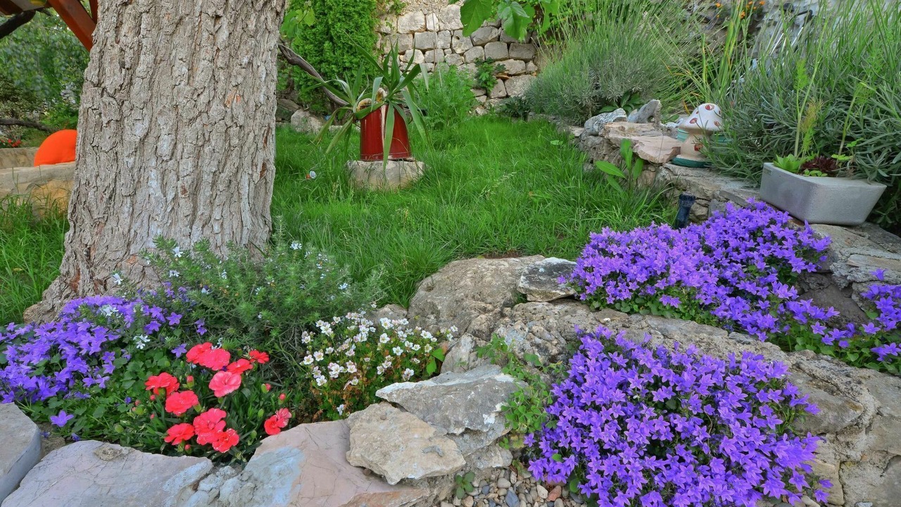 Photo of Outdoor in Seget