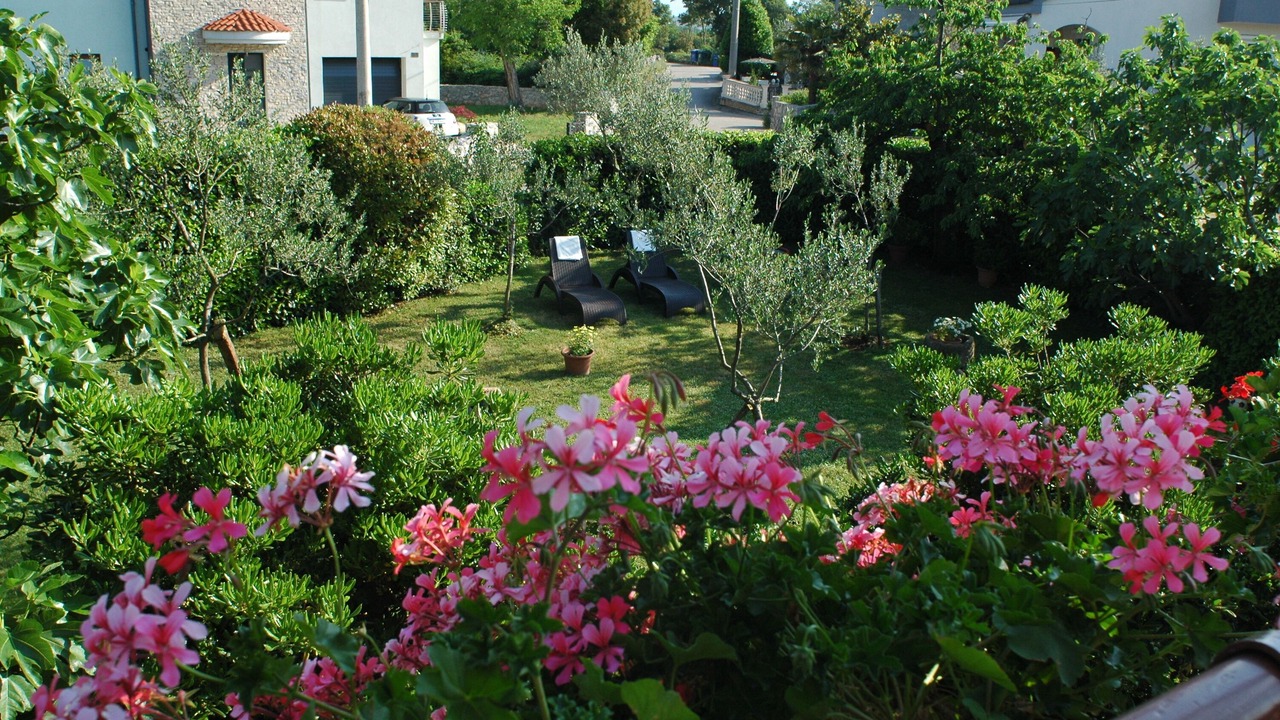 Photo of Outdoor in Milovcici