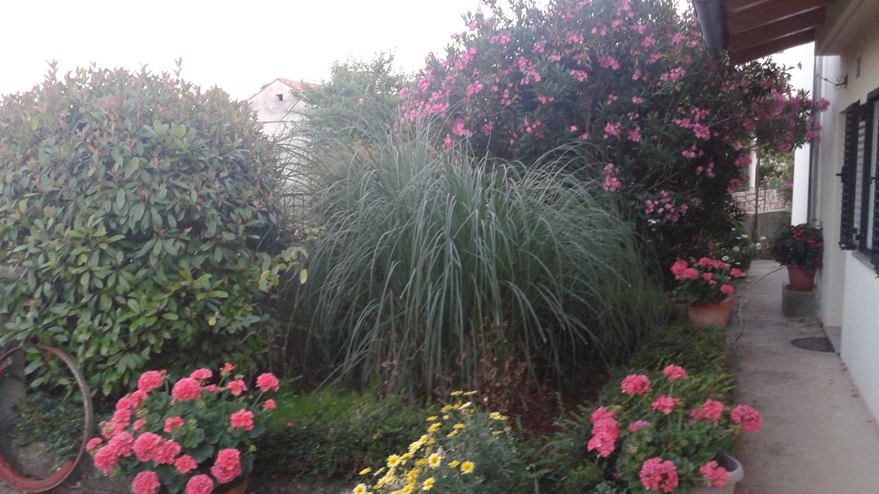 Photo of Outdoor in Milovcici