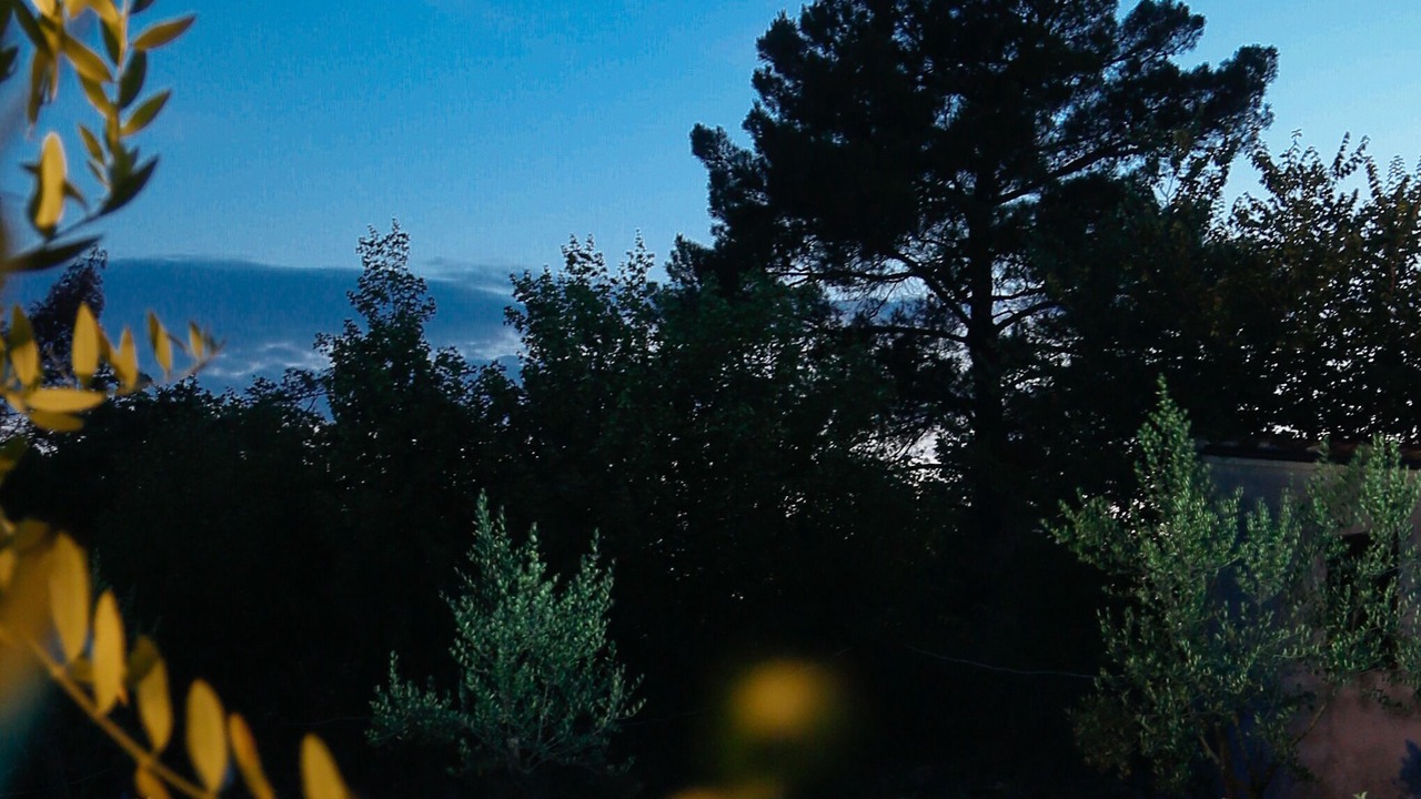 Photo of Outdoor in Manjadvorci