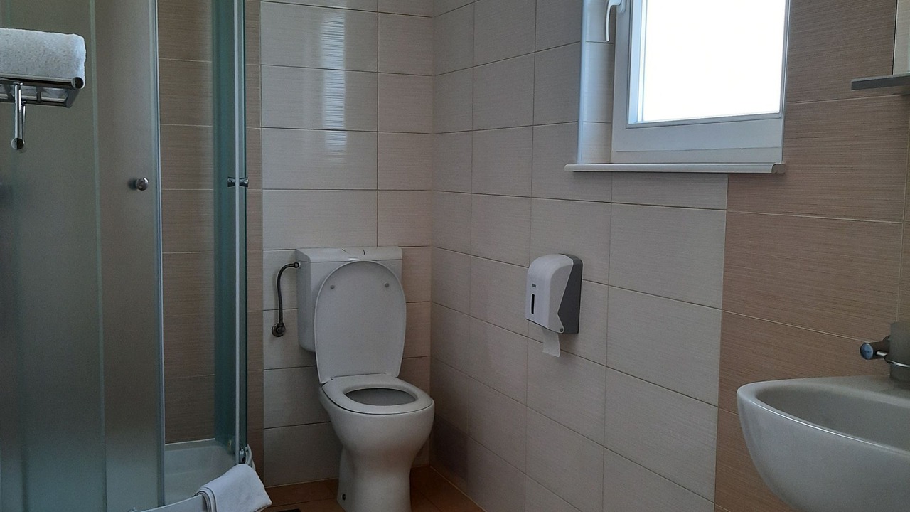 Photo of Bathroom in Drenje