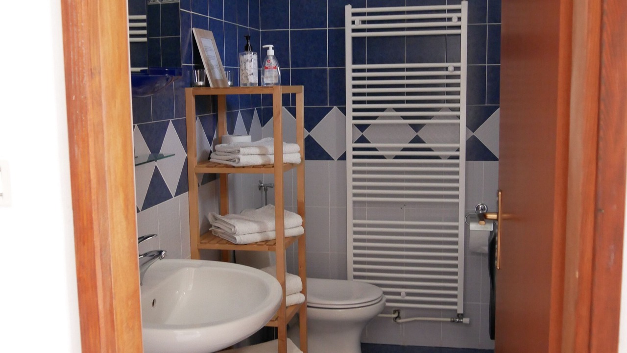 Photo of Bathroom in Rogocana