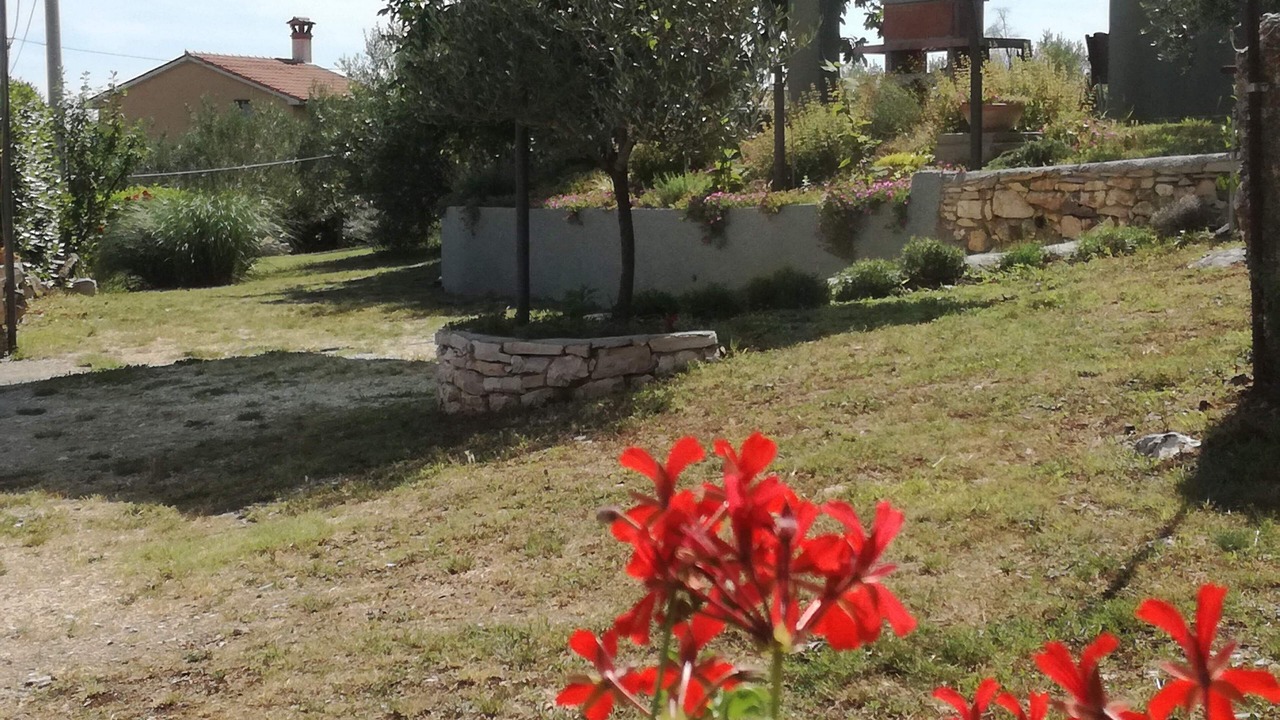 Photo of Patio Balcony in Topid