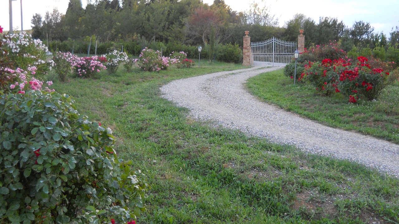 Photo of Outdoor in Pienza