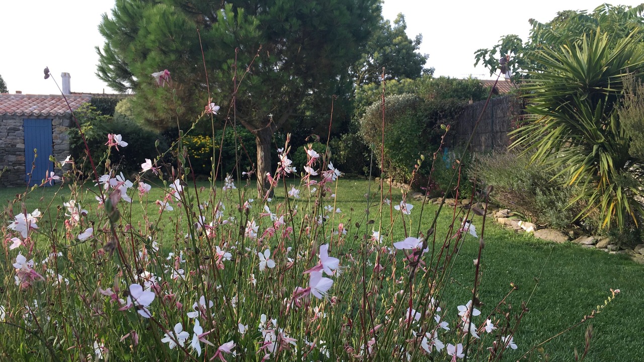 Photo of Outdoor in Noirmoutier-en-l'Ile