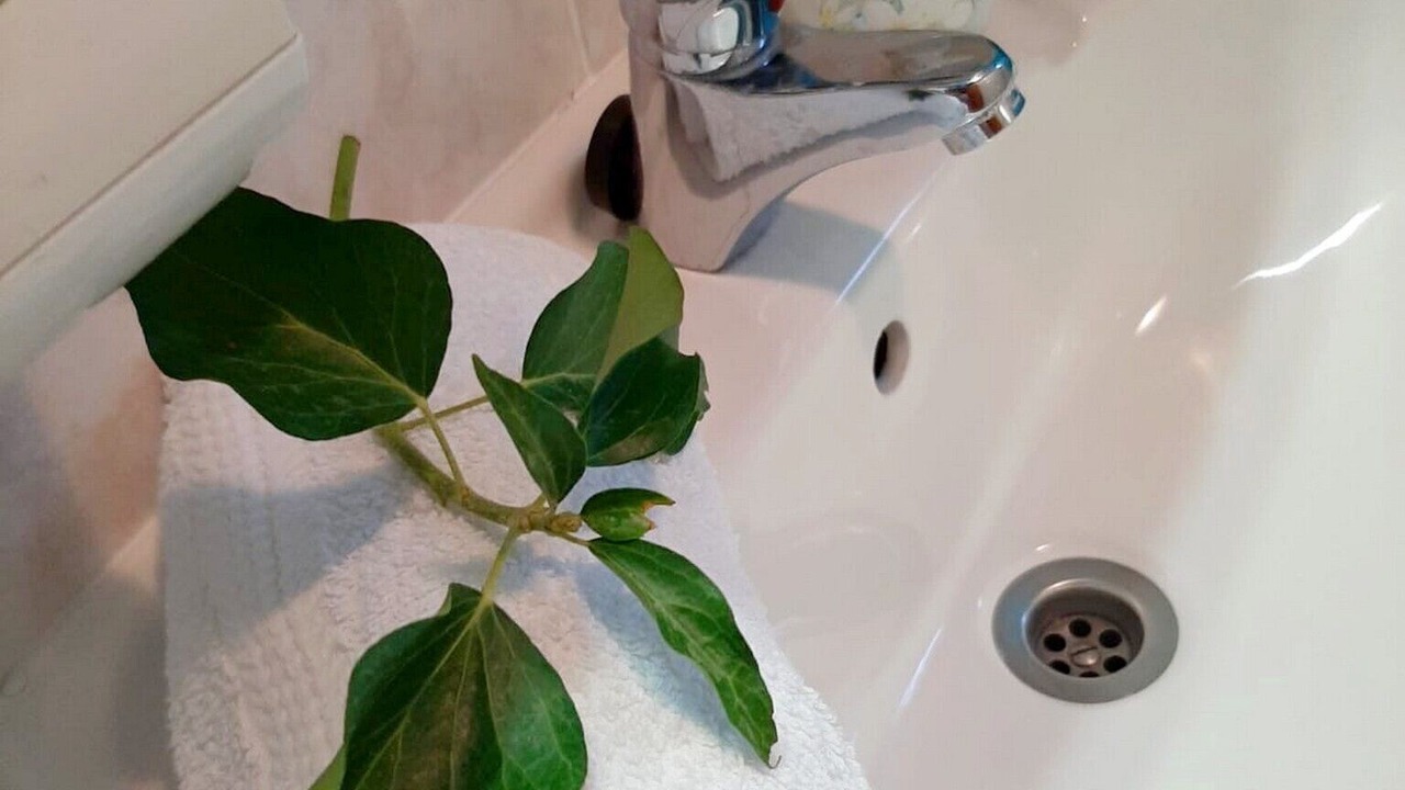 Photo of Bathroom in Pucisca