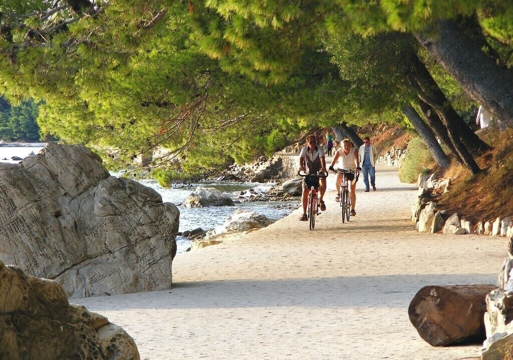 Photo of Others in Palit