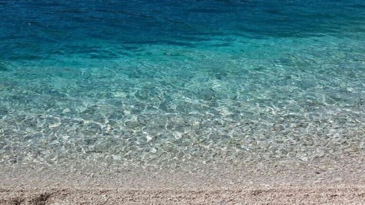 Photo of Others in Pucisca
