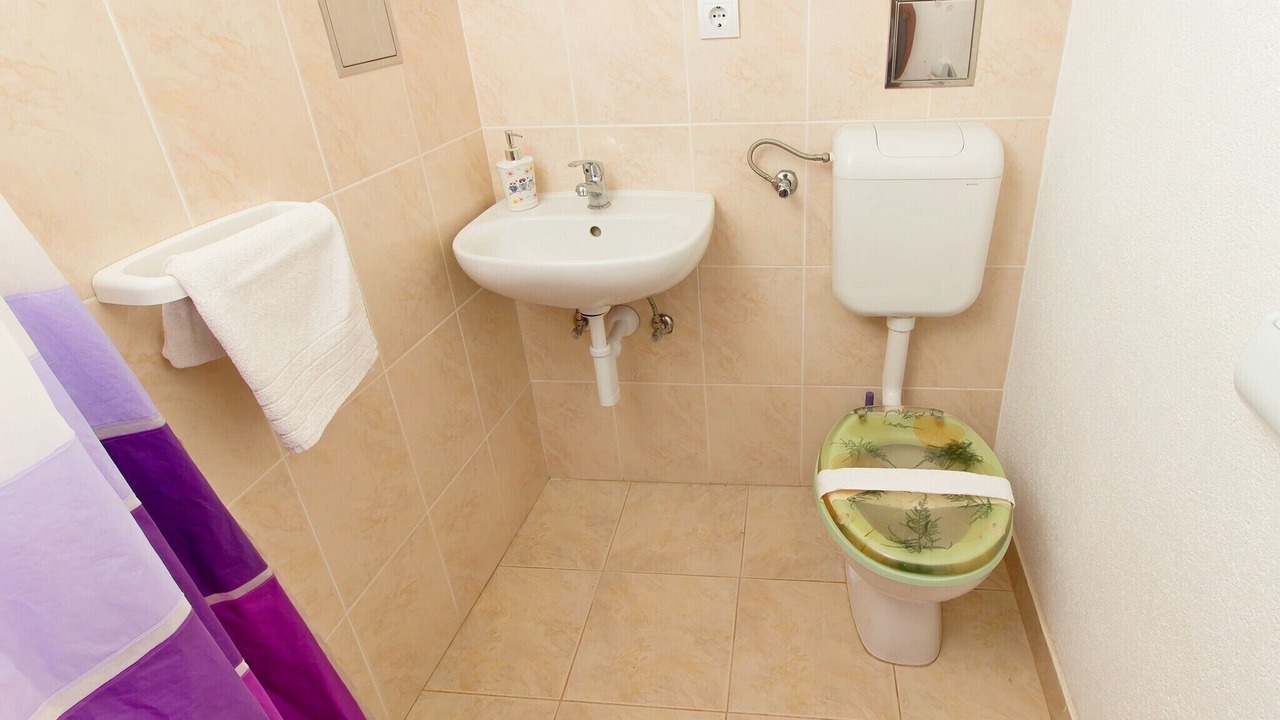 Photo of Bathroom in Donje Selo