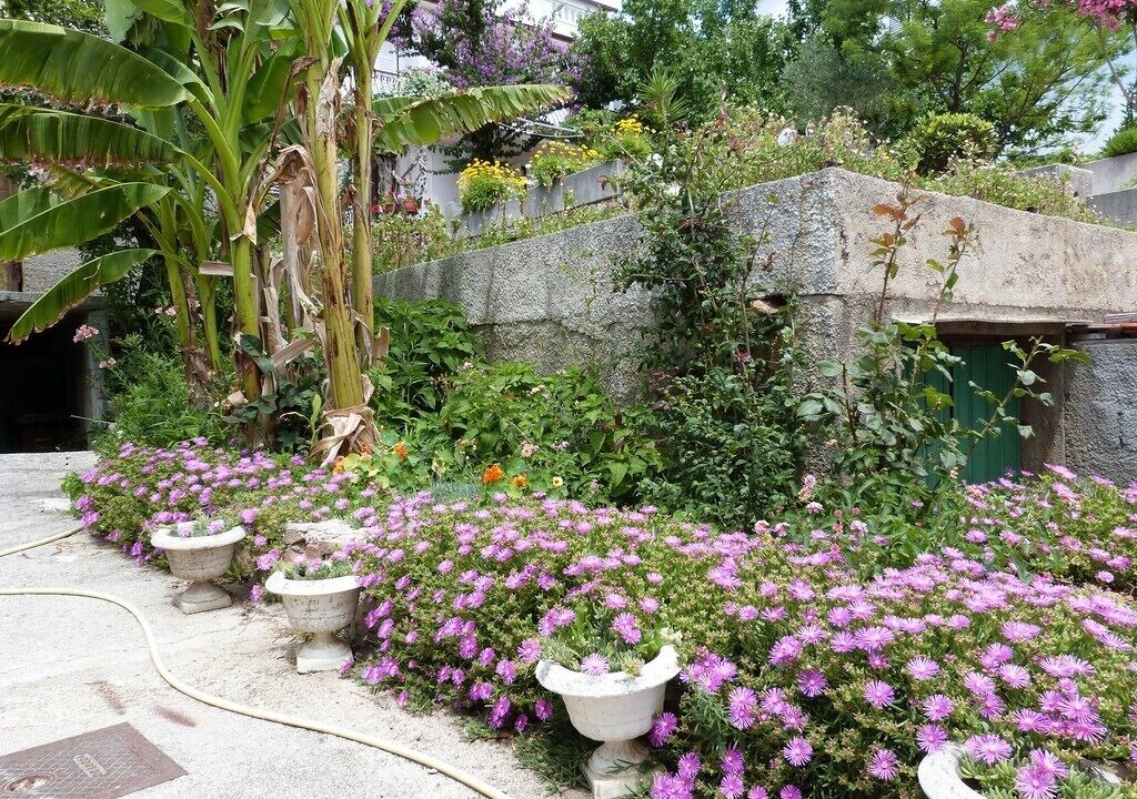 Photo of Outdoor in Palit
