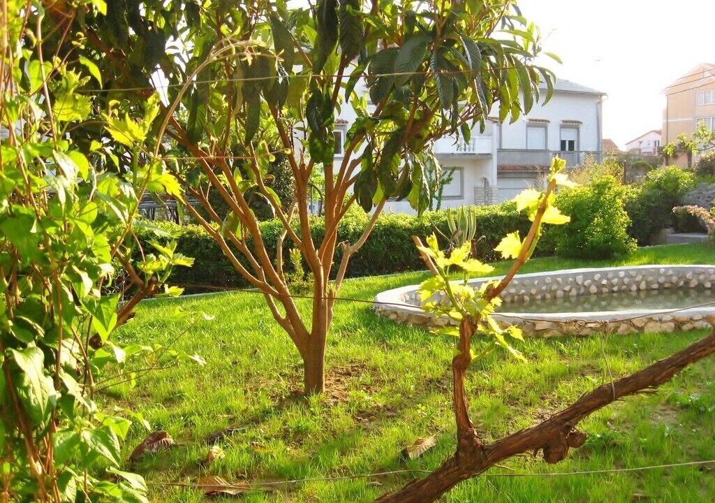Photo of Outdoor in Palit