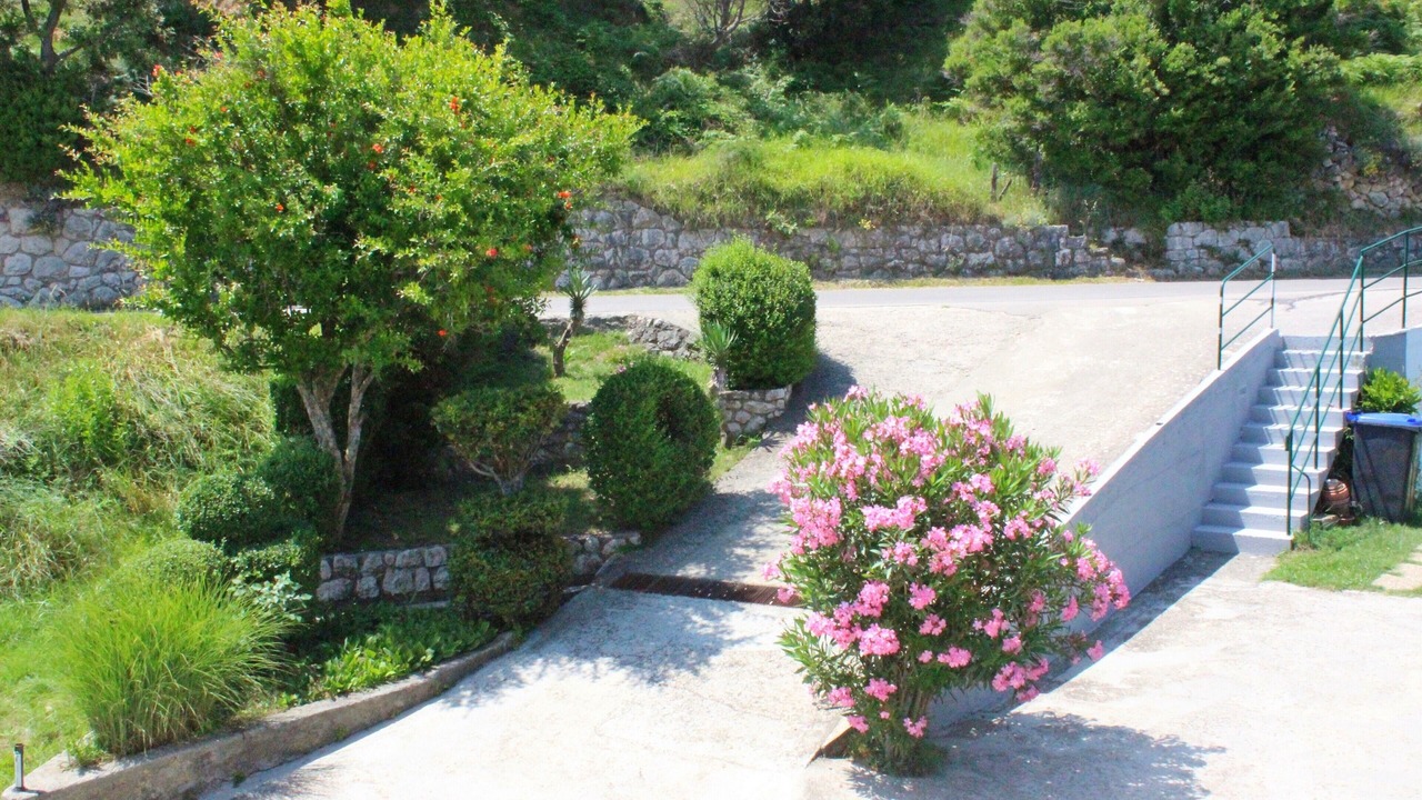 Photo of Outdoor in Supetarska Draga