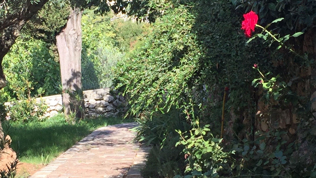 Photo of Outdoor in Ripenda Kosi