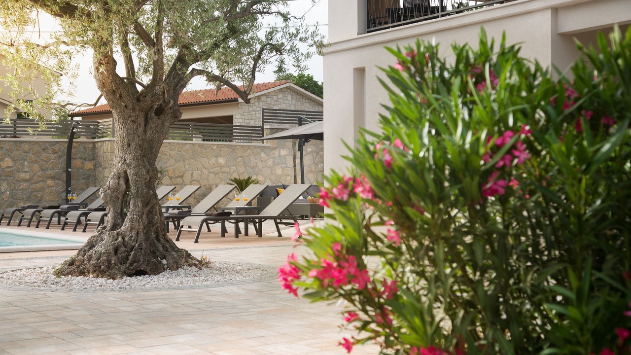 Photo of Outdoor in Presika