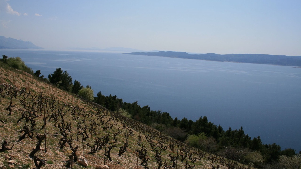 Photo of Others in Marusici