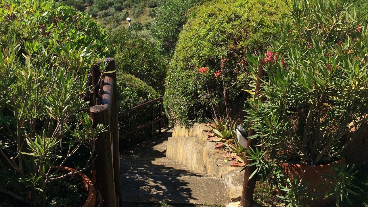 Photo of Outdoor in Castiglione della Pescaia