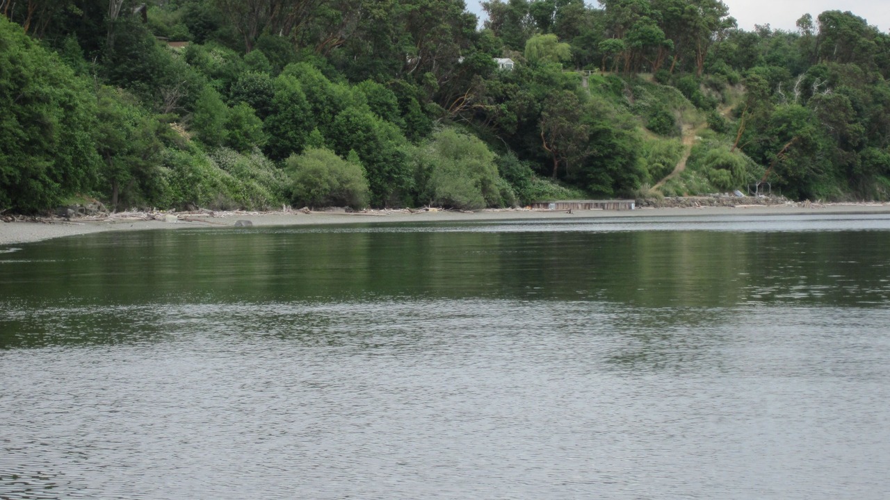 Photo of Others in Vashon Island