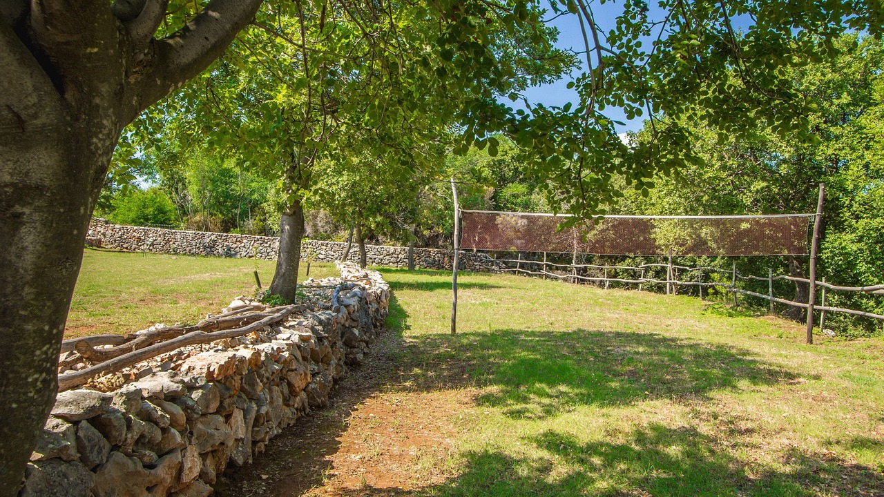 Photo of Outdoor in Risika