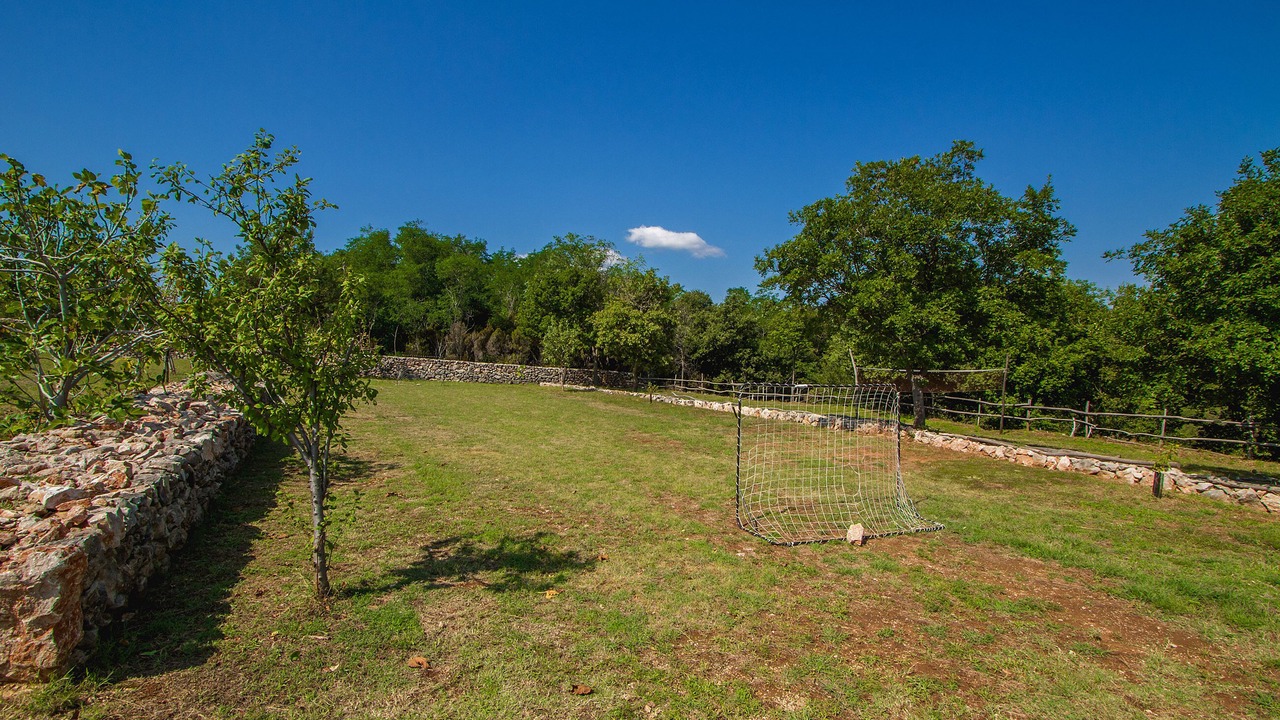 Photo of Outdoor in Risika
