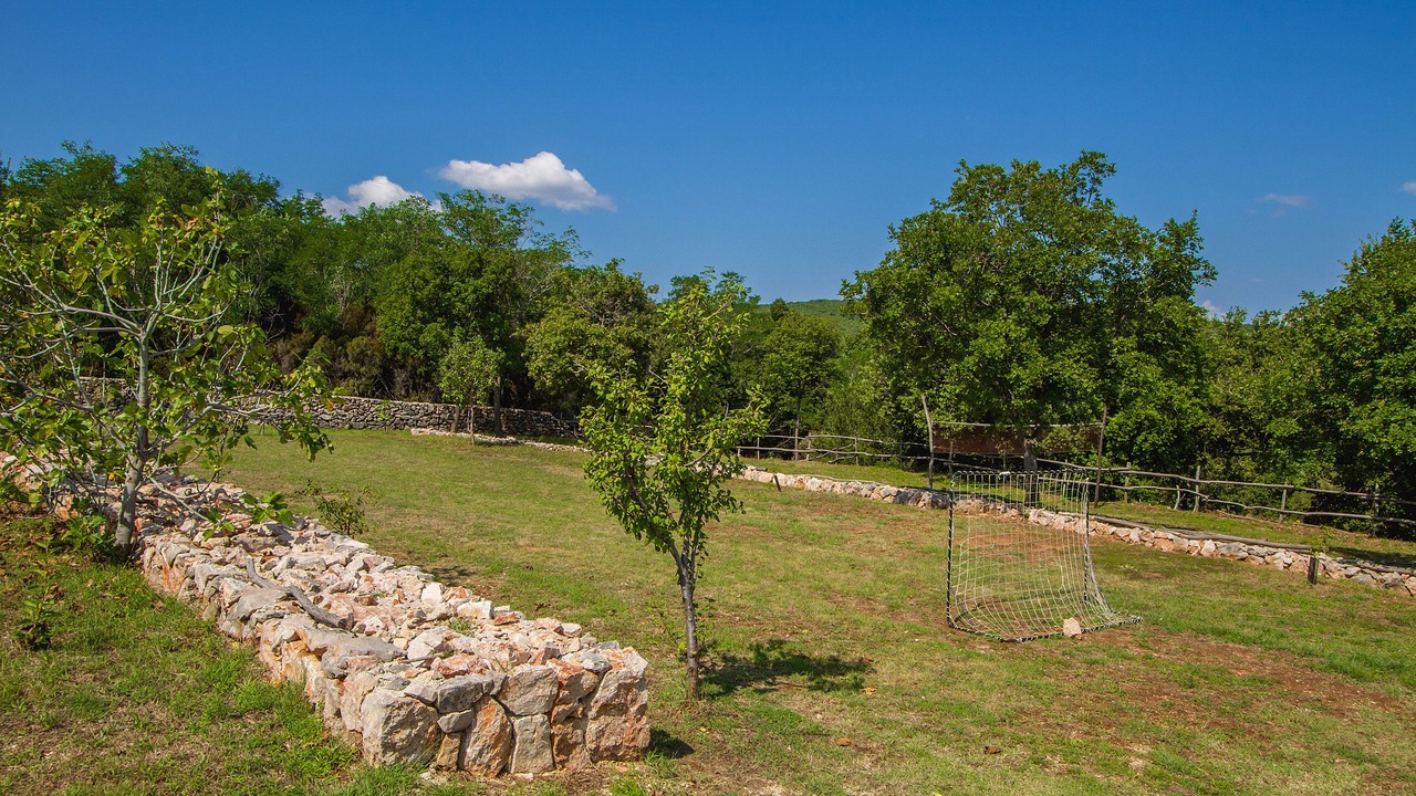 Photo of Outdoor in Risika