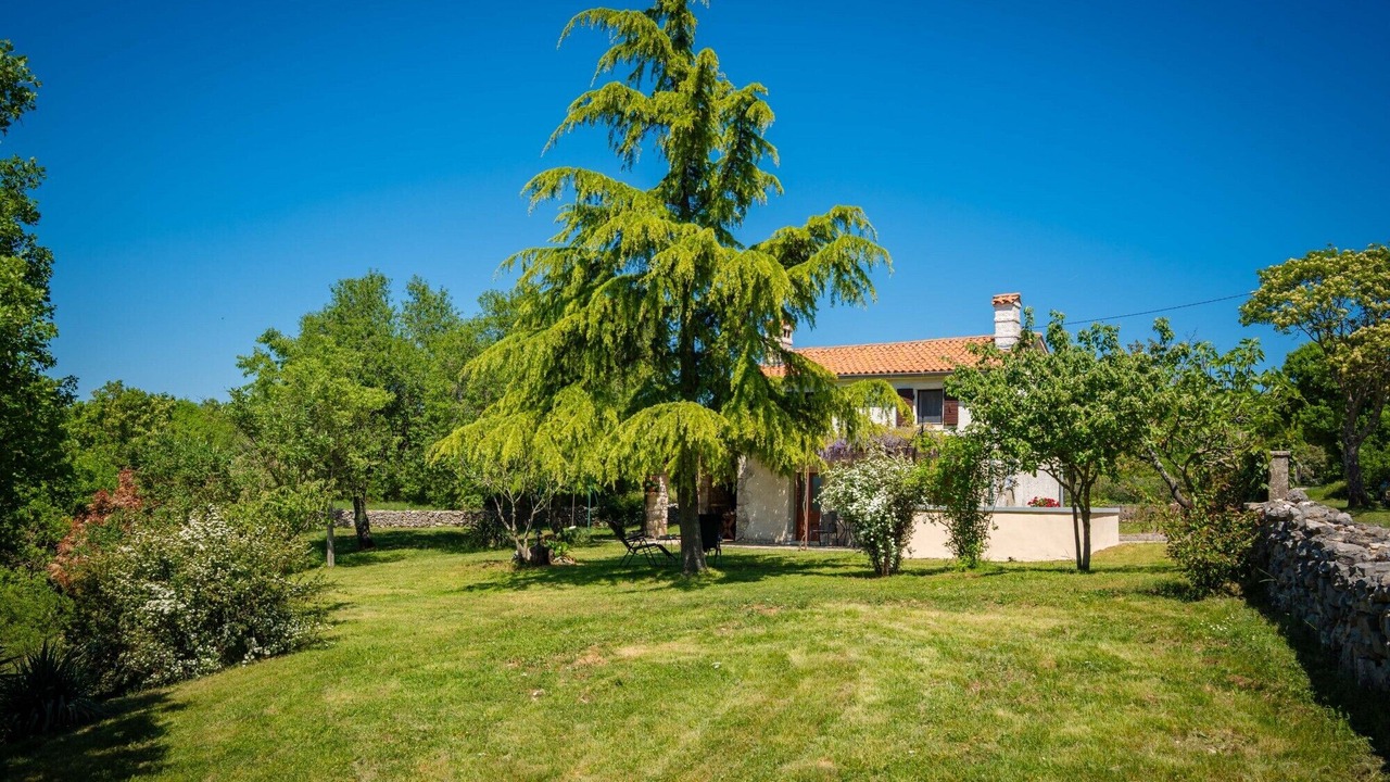 Photo of Outdoor in Rasa