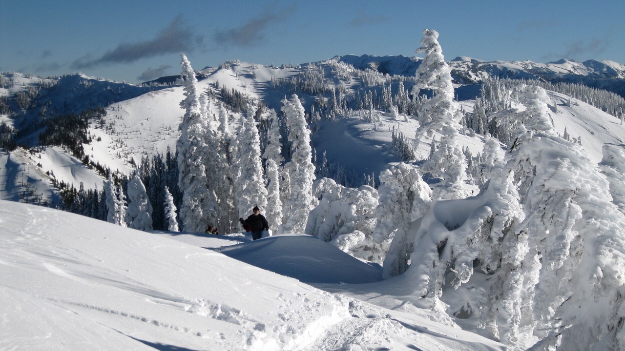 Photo of Others in Port Angeles