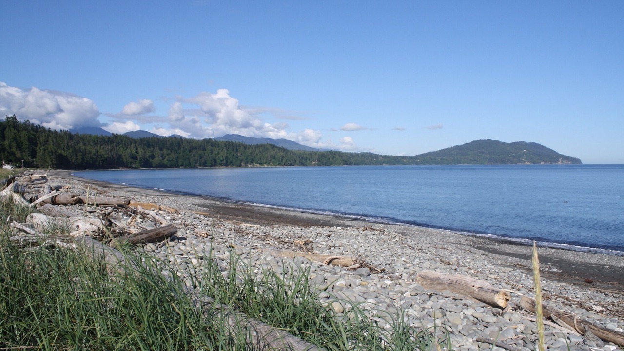 Photo of Others in Port Angeles