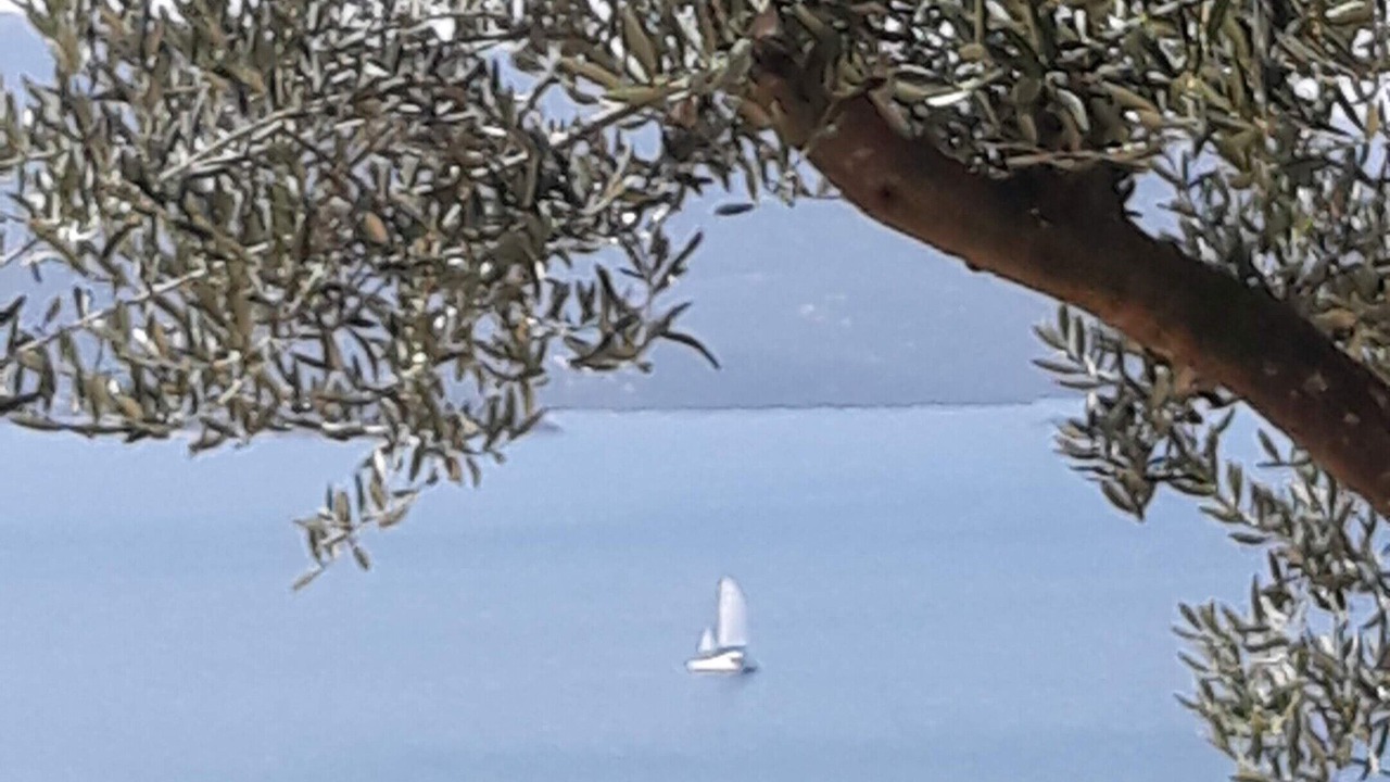 Photo of Others in Kremena