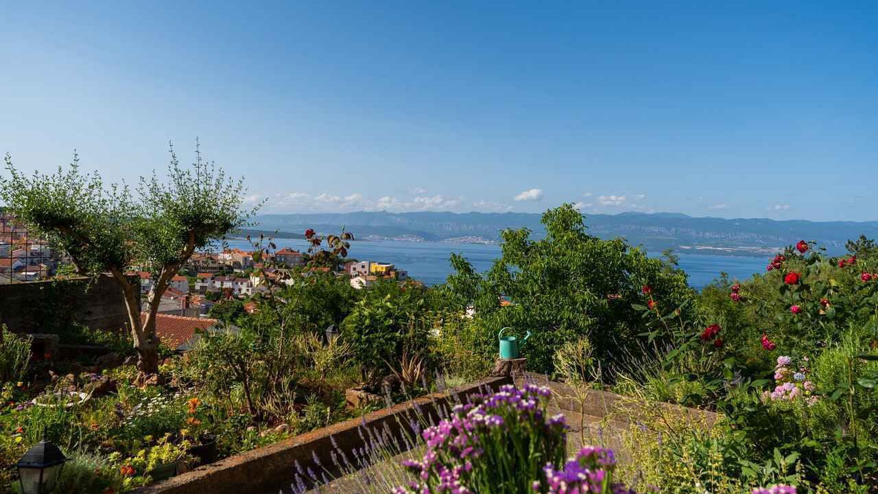 Photo of Others in Vrbnik
