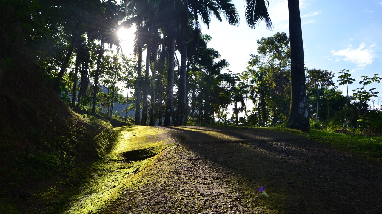 Photo of Others in Dominical