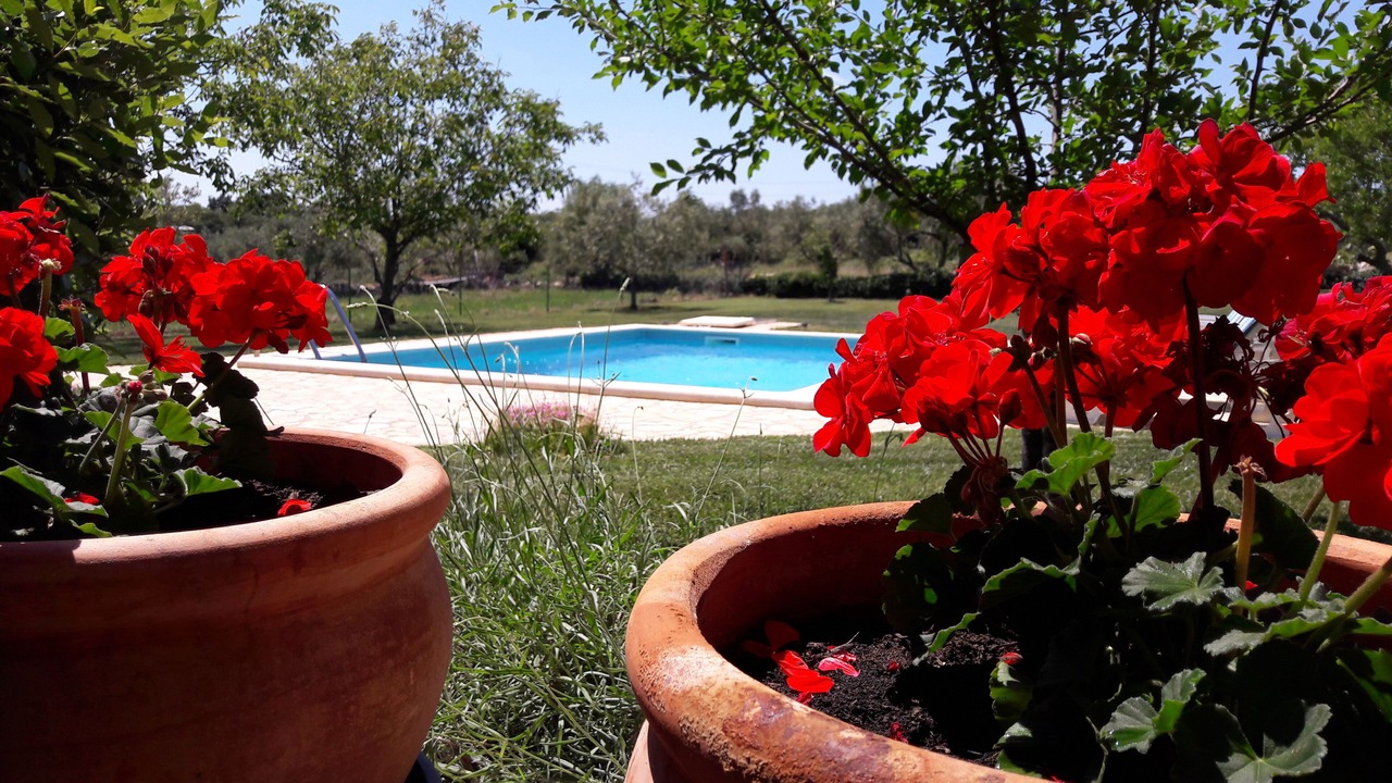 Photo of Outdoor in Mali Vareski