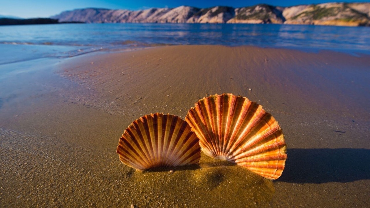 Photo of Others in Supetarska Draga