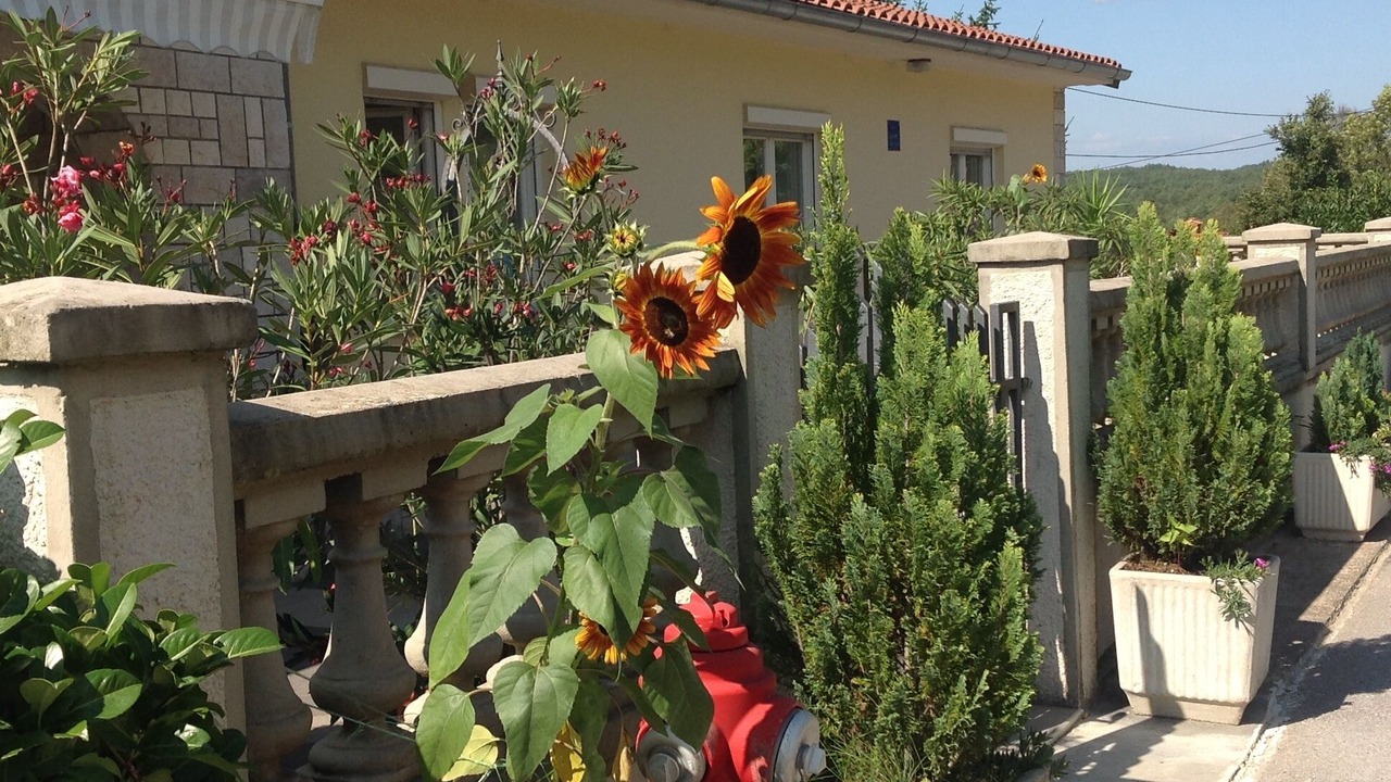 Photo of Outdoor in Veli Brgud