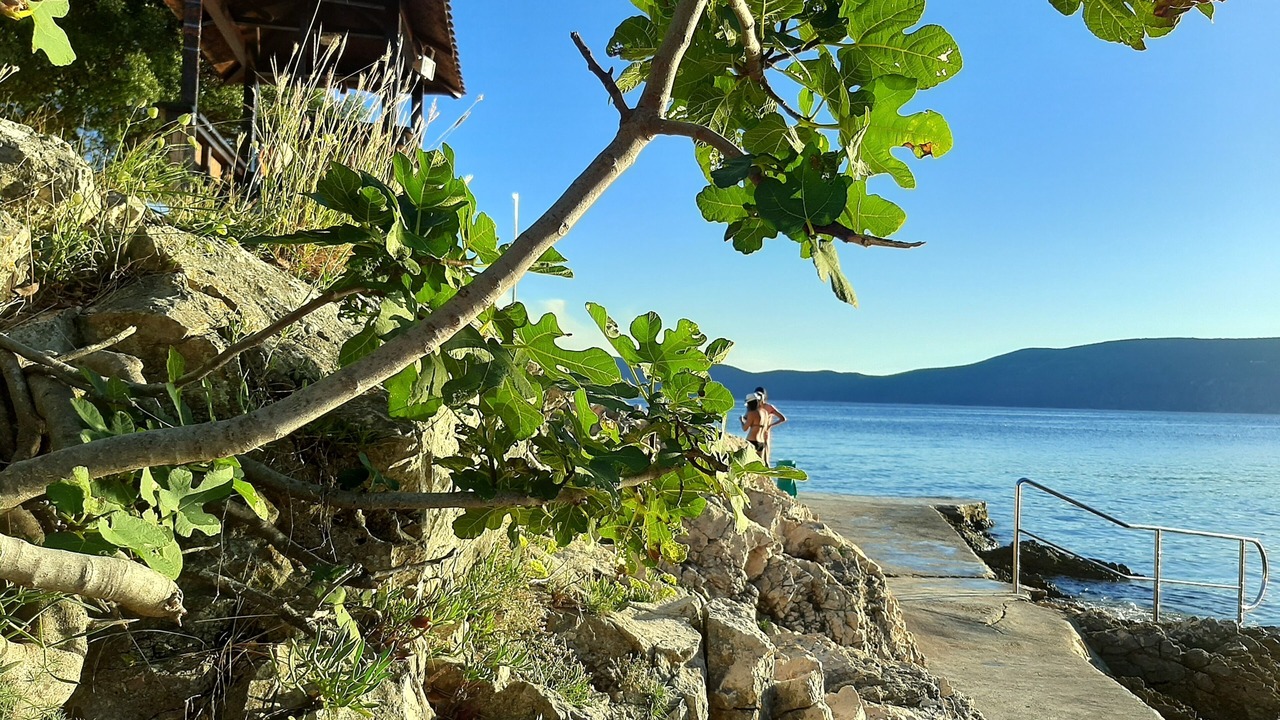 Photo of Outdoor in Krk