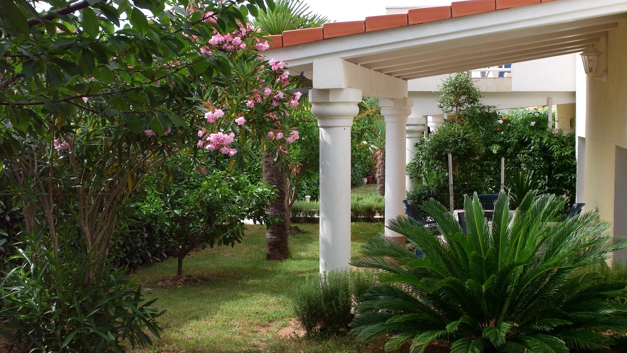 Photo of Outdoor in Medulin