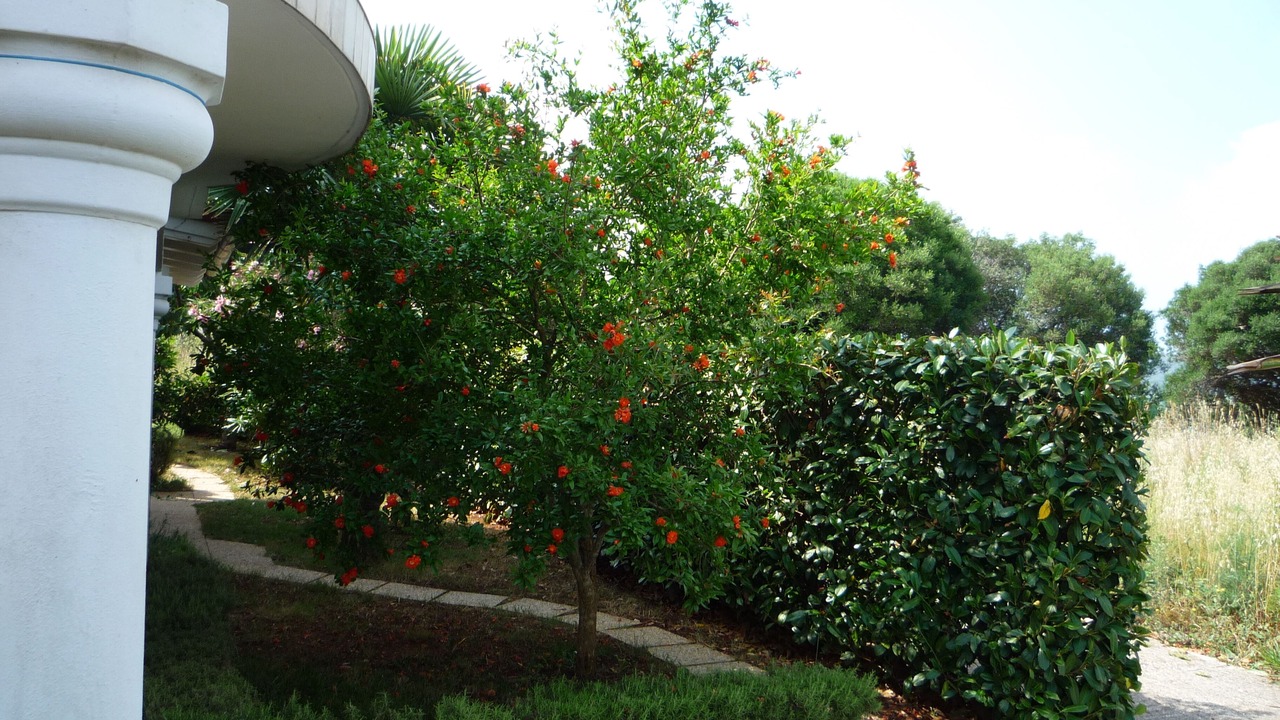 Photo of Outdoor in Medulin