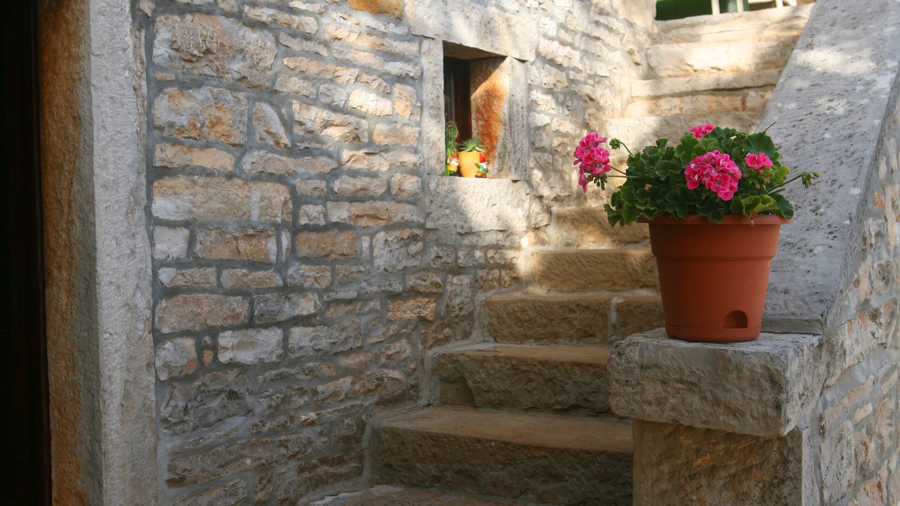 Photo of Outdoor in Zrenj
